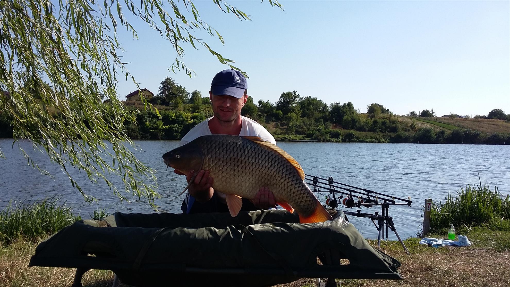 Moara Vlasiei 2016 - 20160821170043.jpg